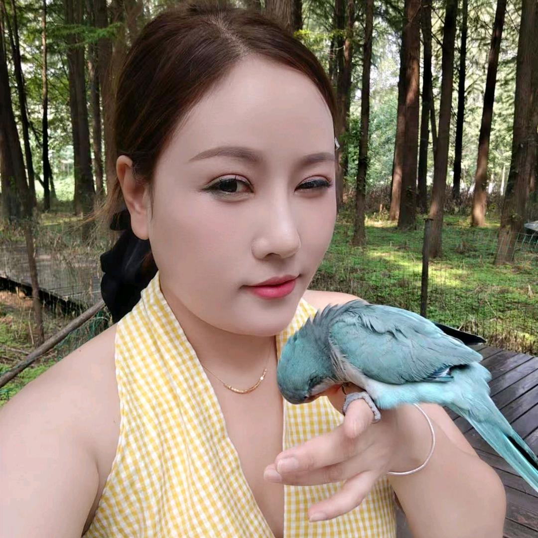 丝丝鹦鹉