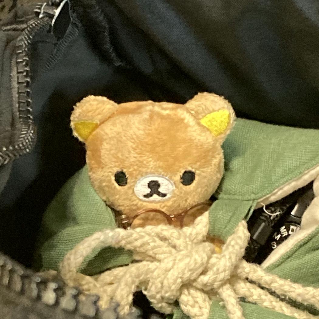 蝈蝈