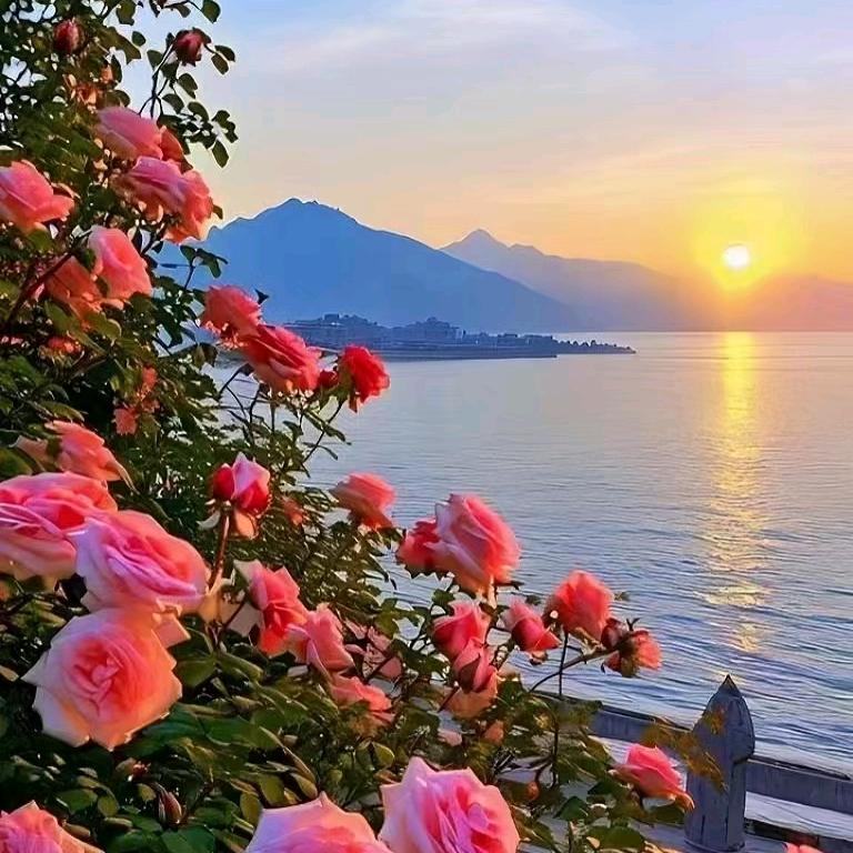 坚强的女人，邓姐