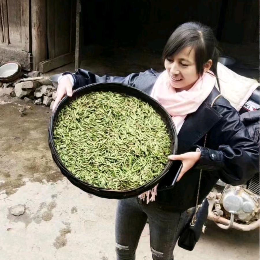 嘉豪茶叶批发
