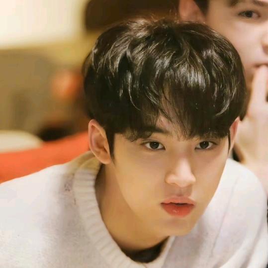 🌊象限鲸鱼🐳