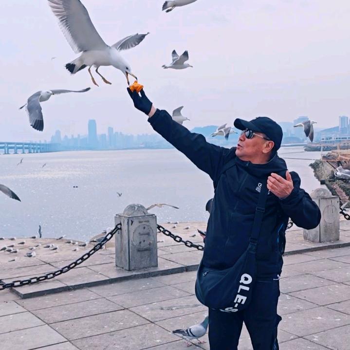 董哥闲不住