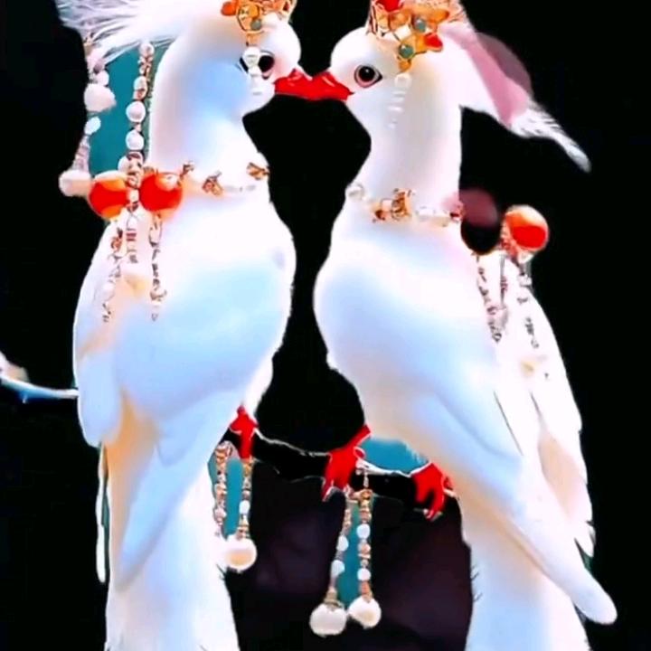 💝婉🌺青💝