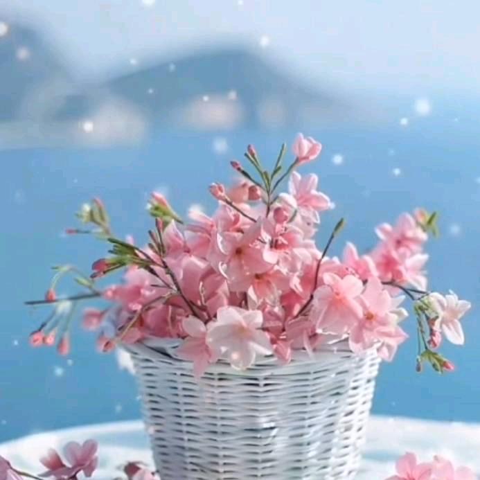 ༺✿茹✿༻