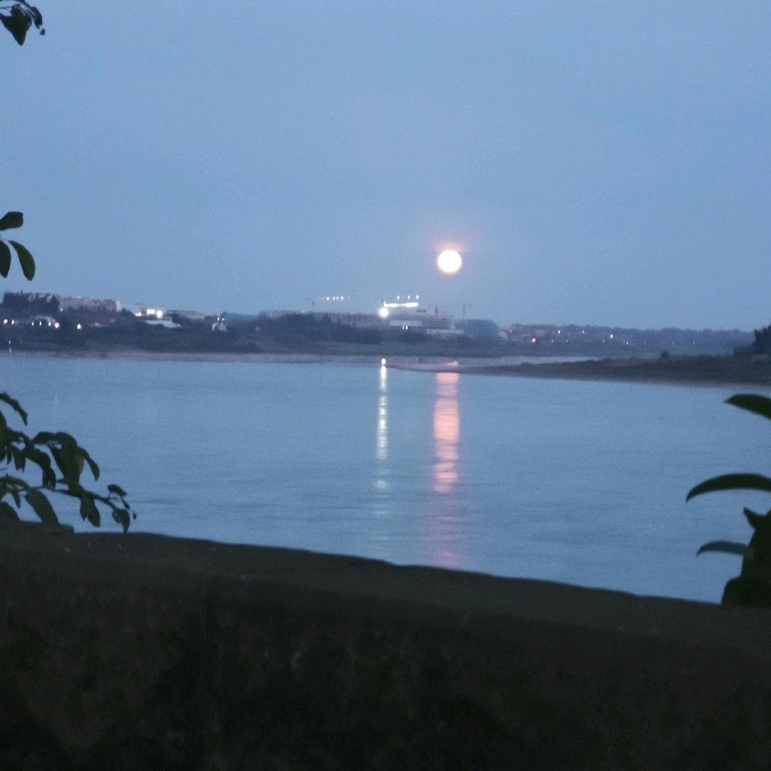 红尘曲情环
