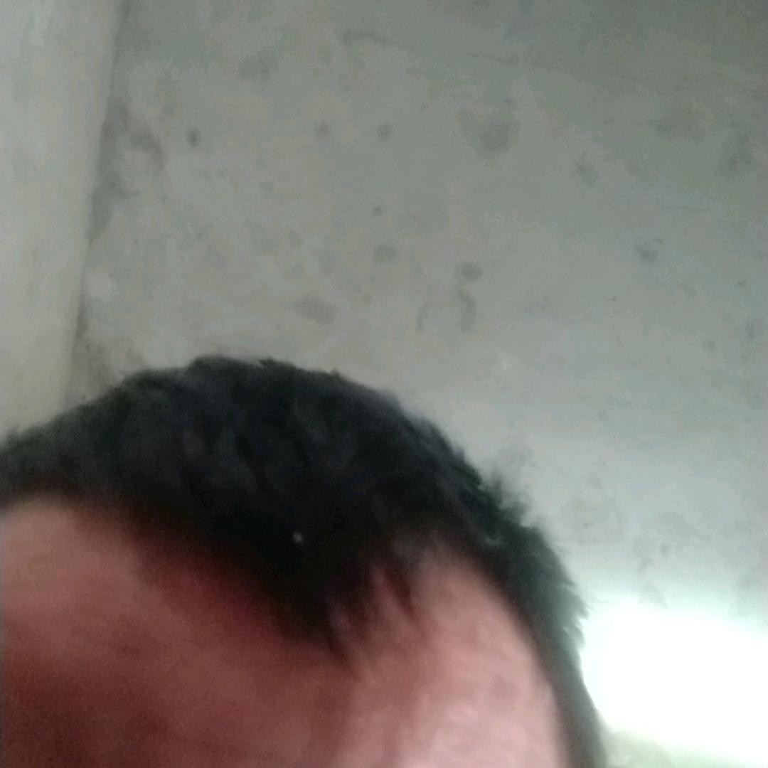 郑茂年17286902073