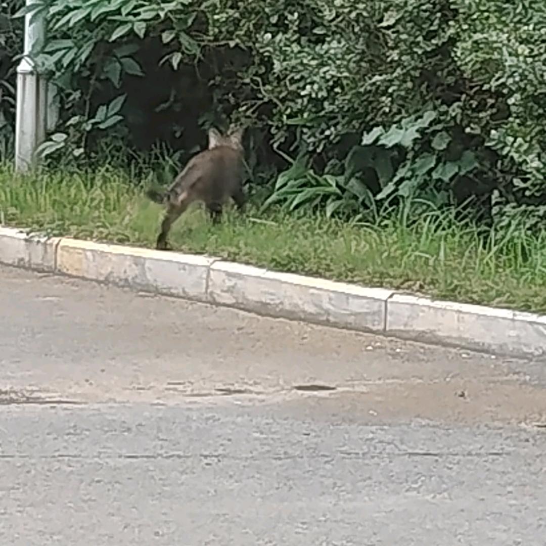 阳光下的泡沫