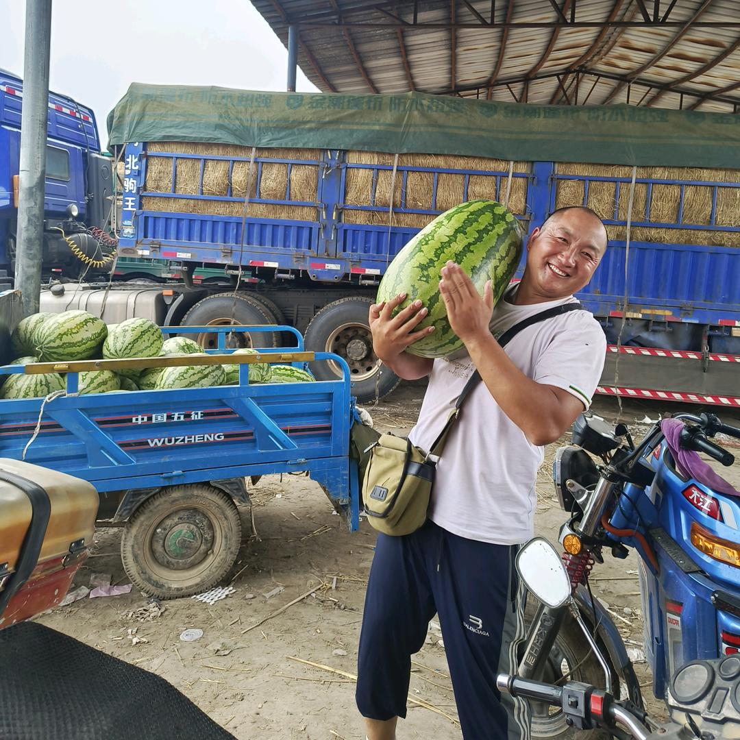 小地主儿（产地代采市场代卖）
