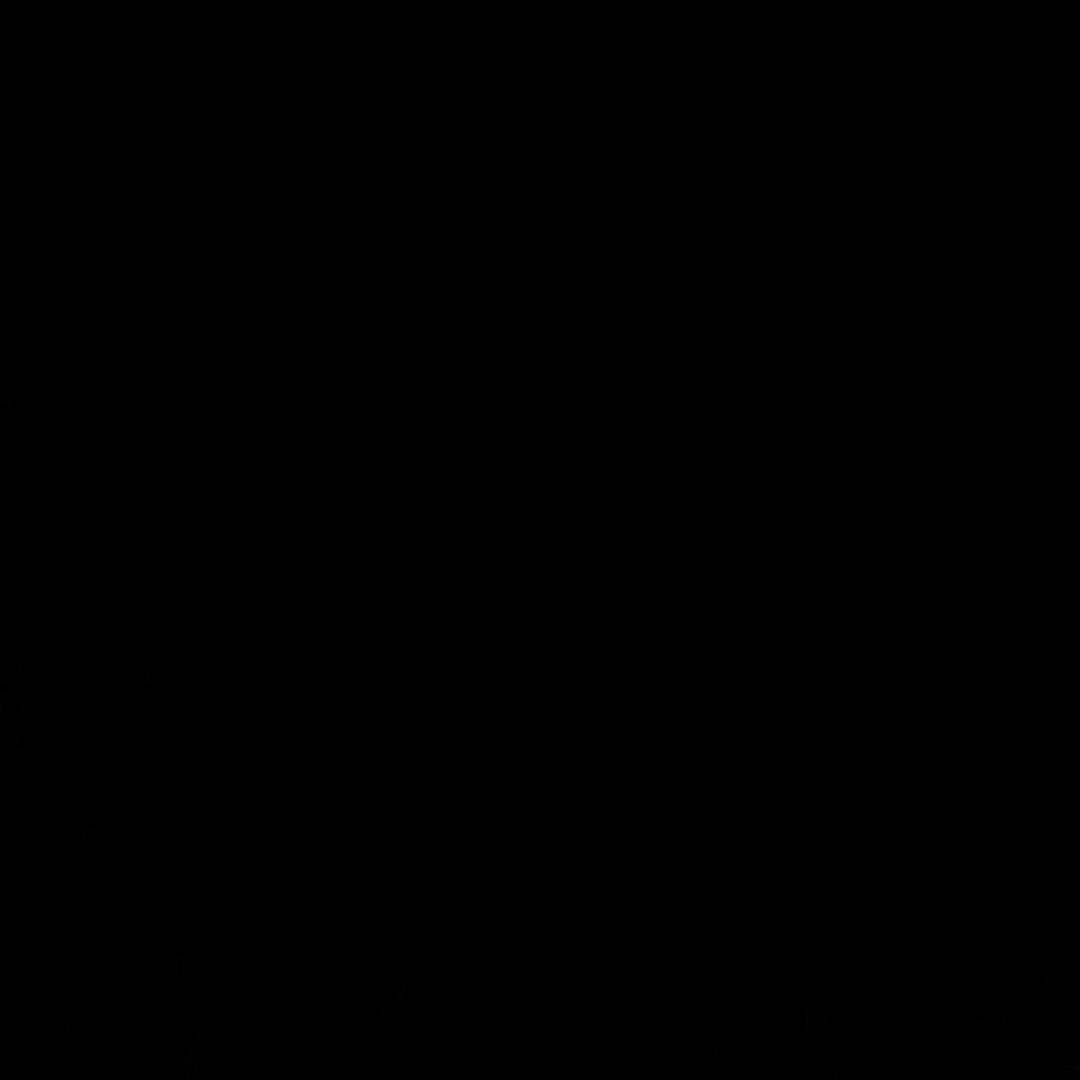 簸箕