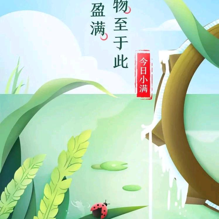 小杨