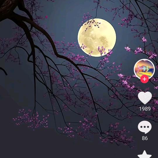我的退步只会让你得寸进尺