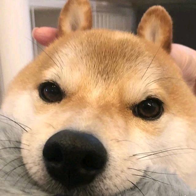 云语