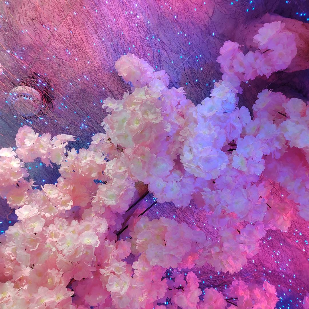 小雨～～一人一屋