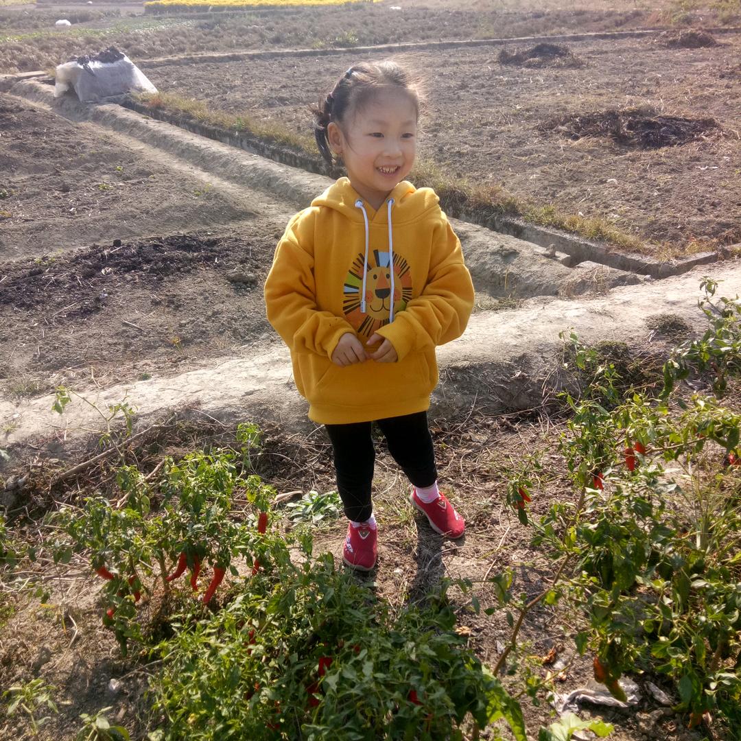 翠玉薇