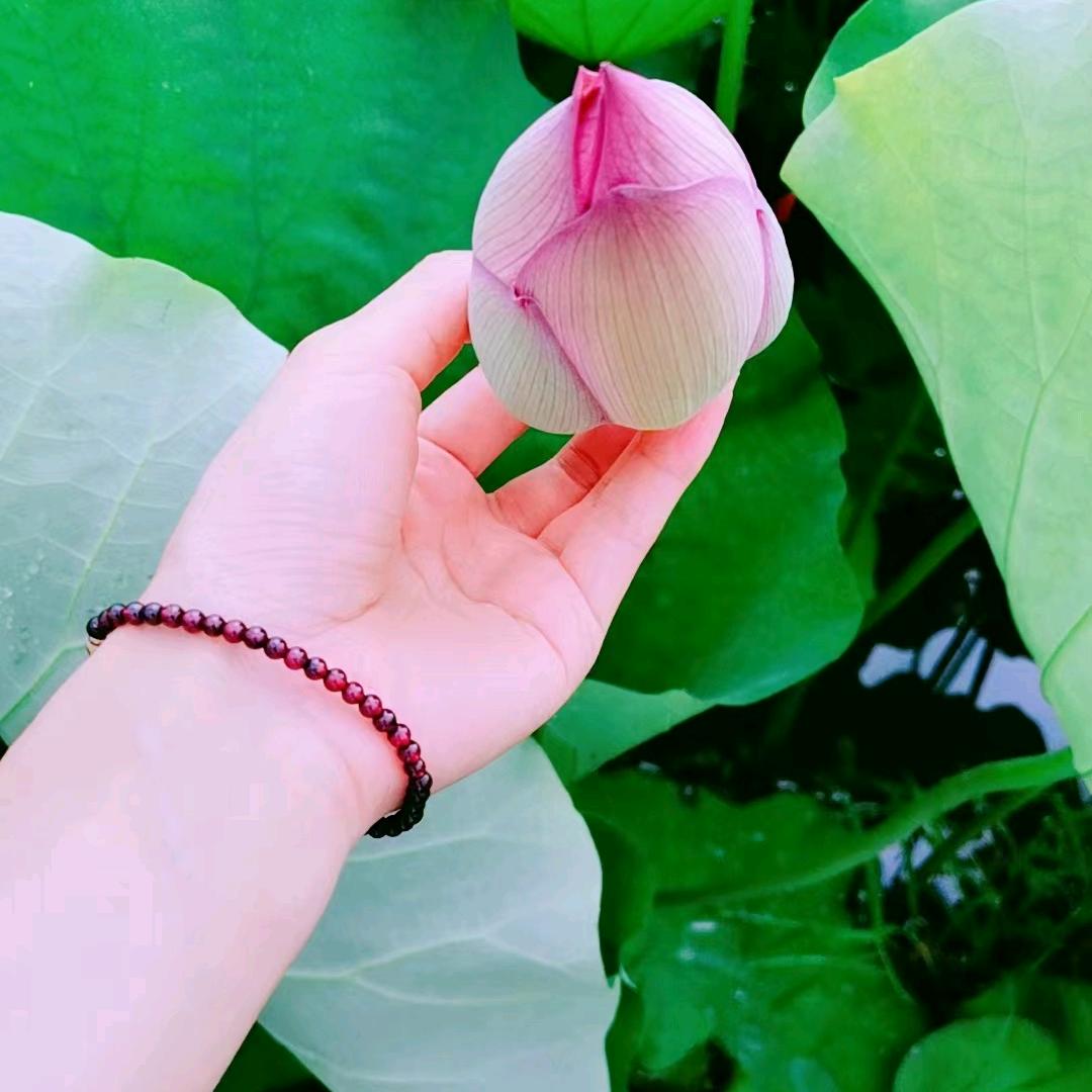 小艺吖