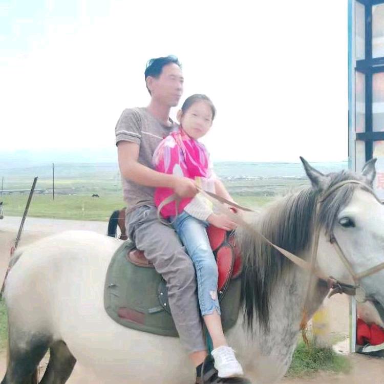 达绿苗木