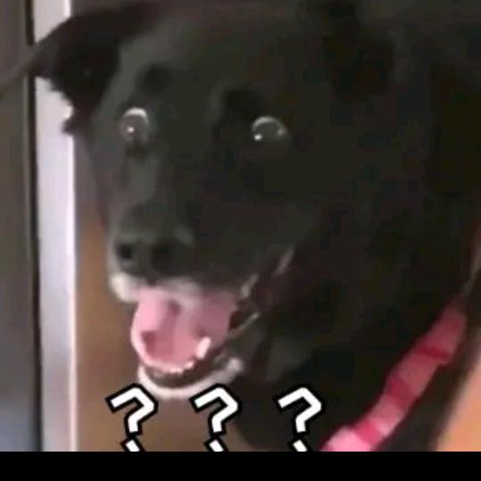 卡住咯……