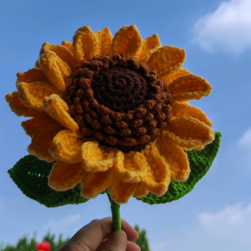 是肉肉家的（橱窗好物自用分享）