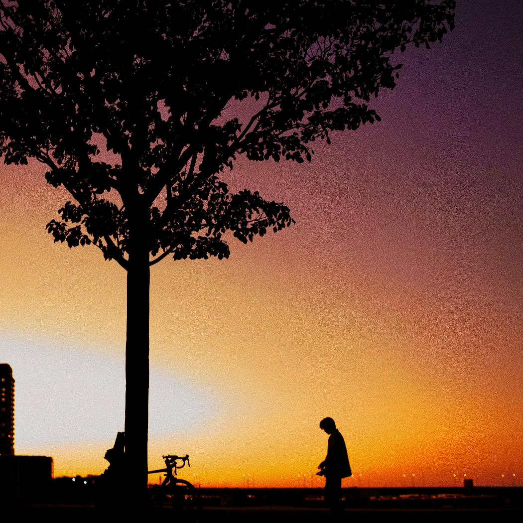 想念焖饼的每一天💓🎬