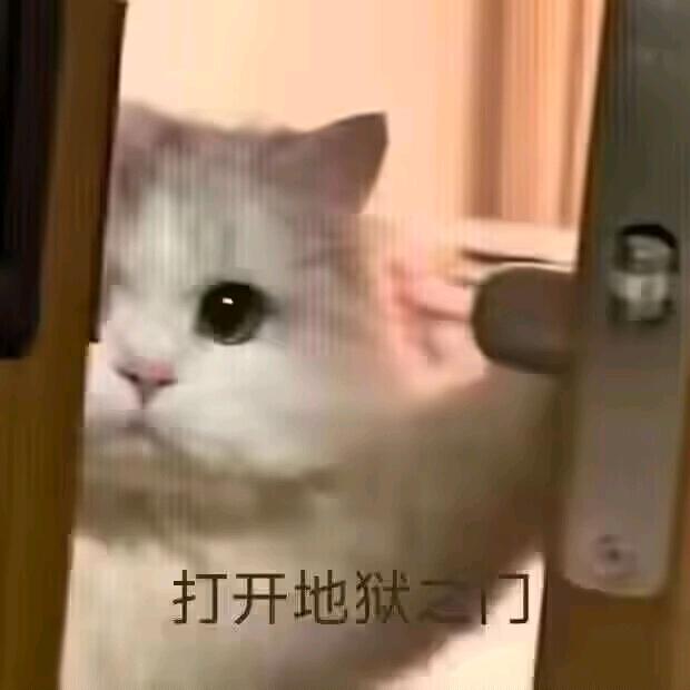 ¿¿¿？
