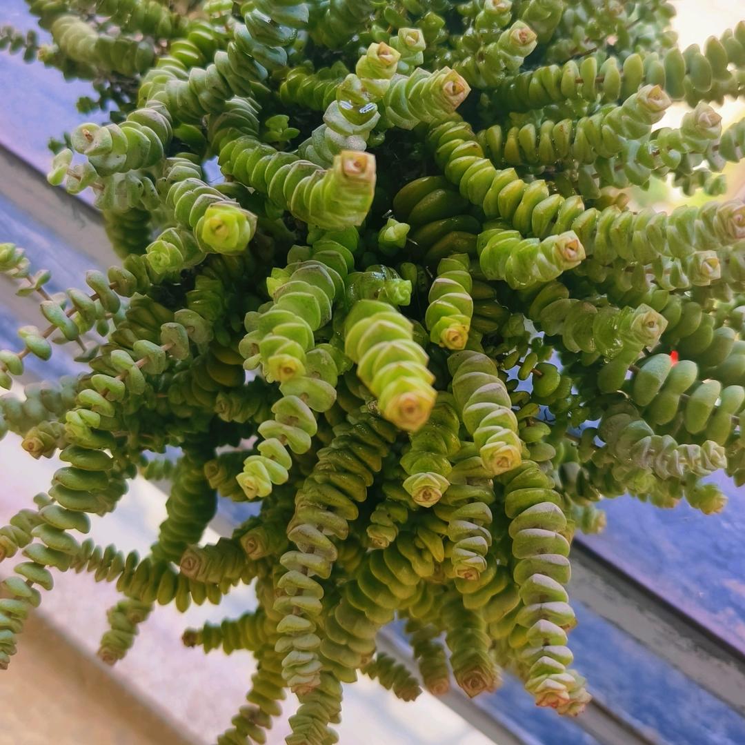 时光长河中的小岛