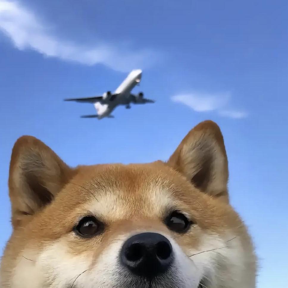 哈哈哈哈哈哈哈哈哈哈哈哈