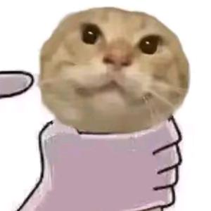 彳风