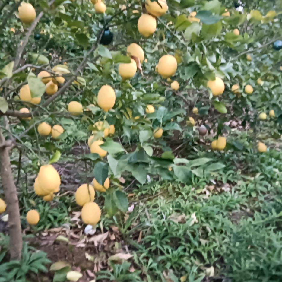 人的一生真的难啊。