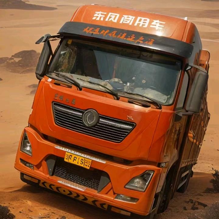 羊杨杨阳