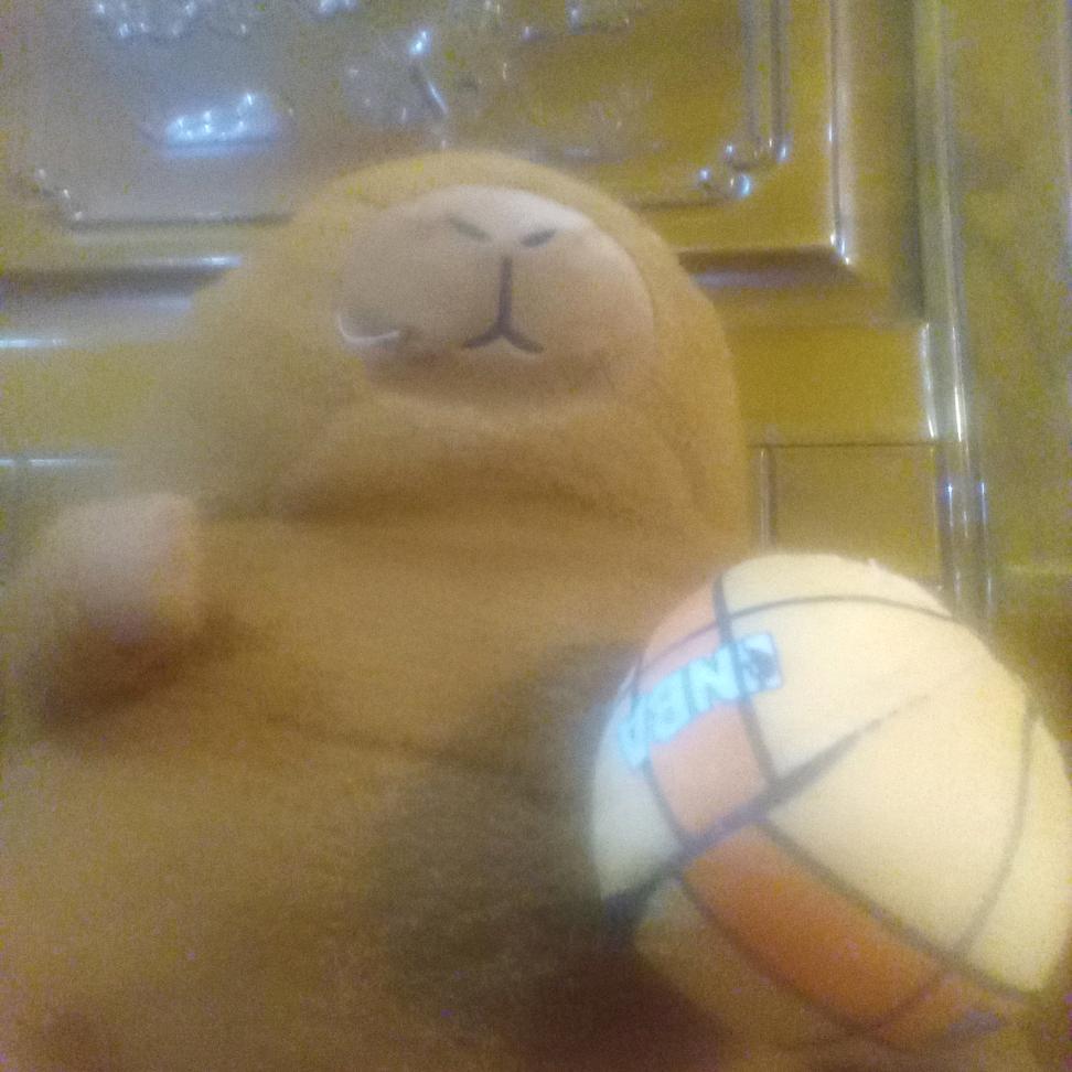 塔皮巴拉受伤了