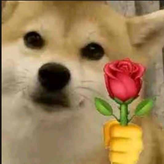 A在房地产很河里