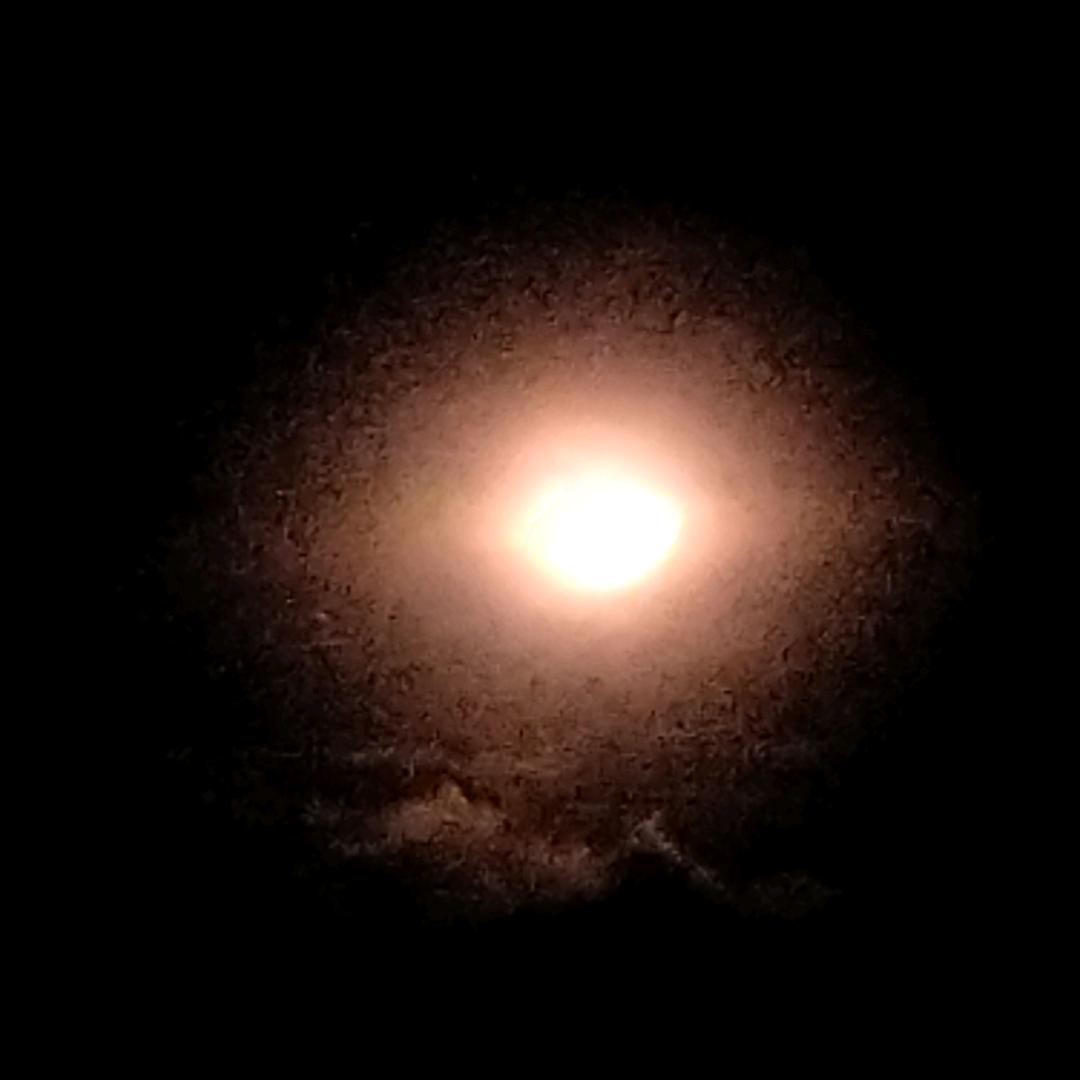 余生随缘一个人的天空