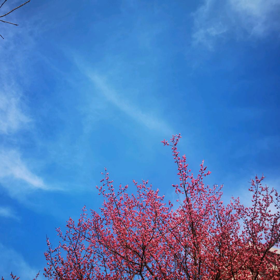 小叙园•顺顺利利