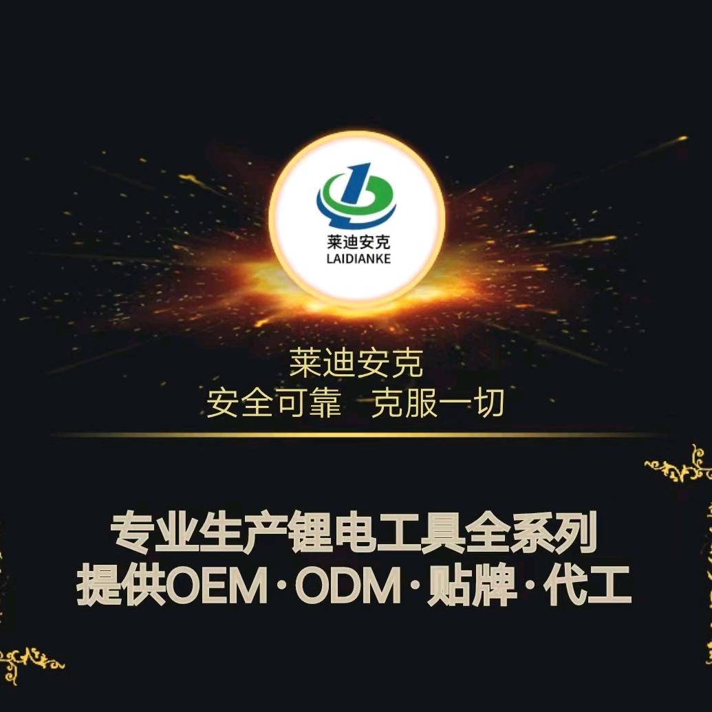 莱迪安克工具