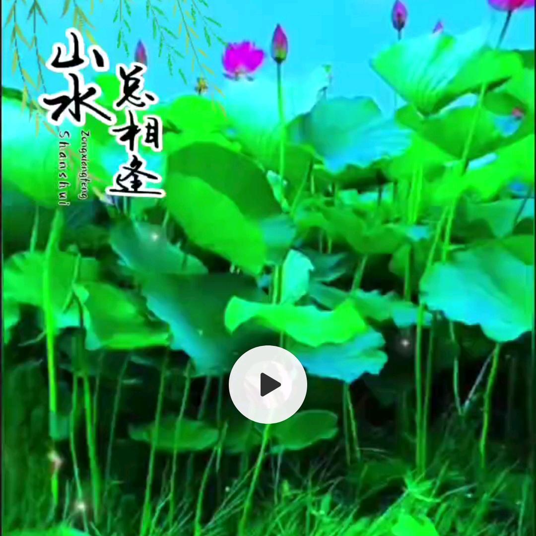 绿色花