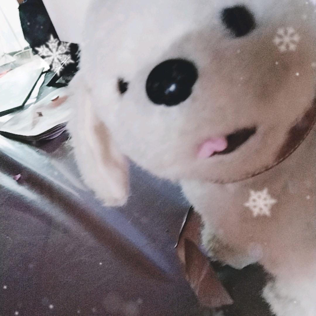 🌈开心