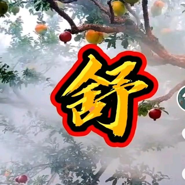 舒