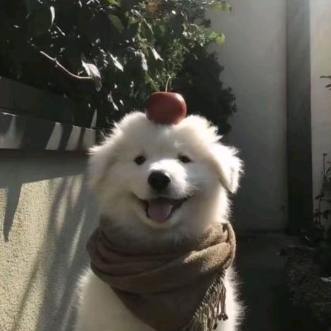 从小就玩土-