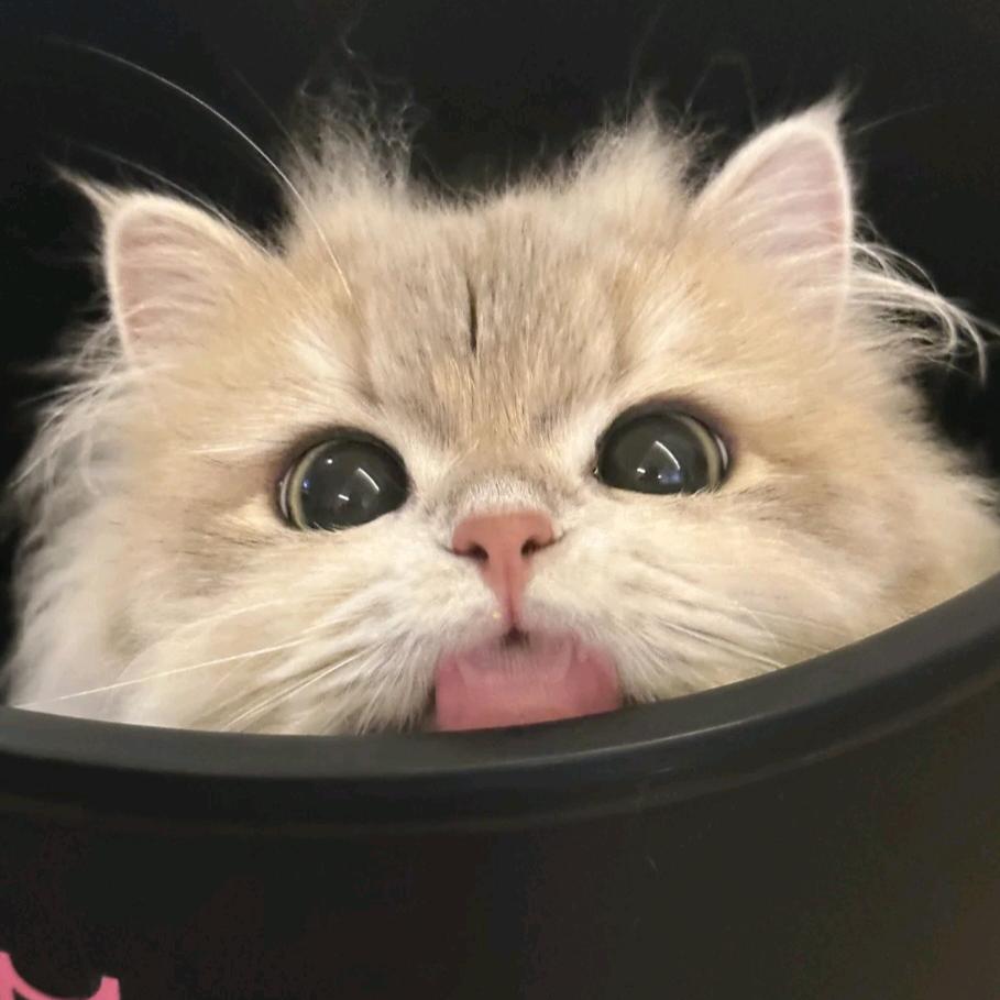 只只