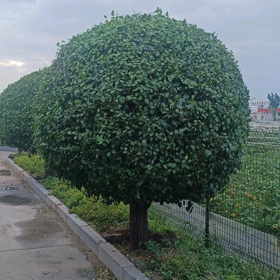 缤纷秋色