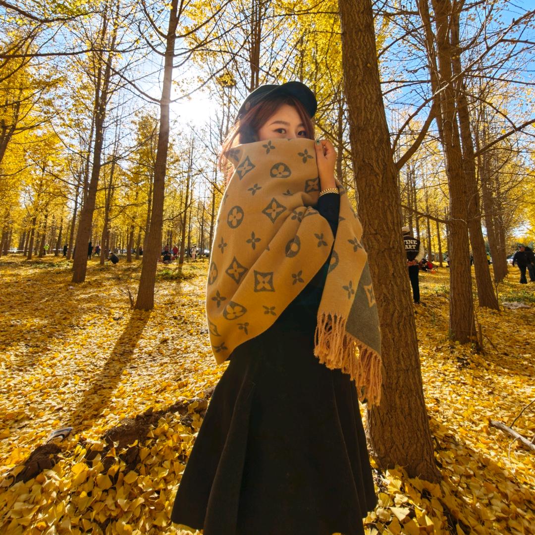 爱拍照的赵财猫📸