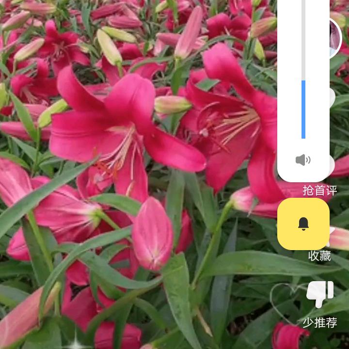 单身妈妈