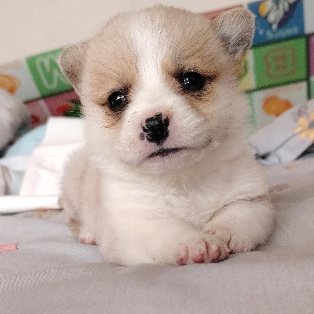 萌旭宝贝
