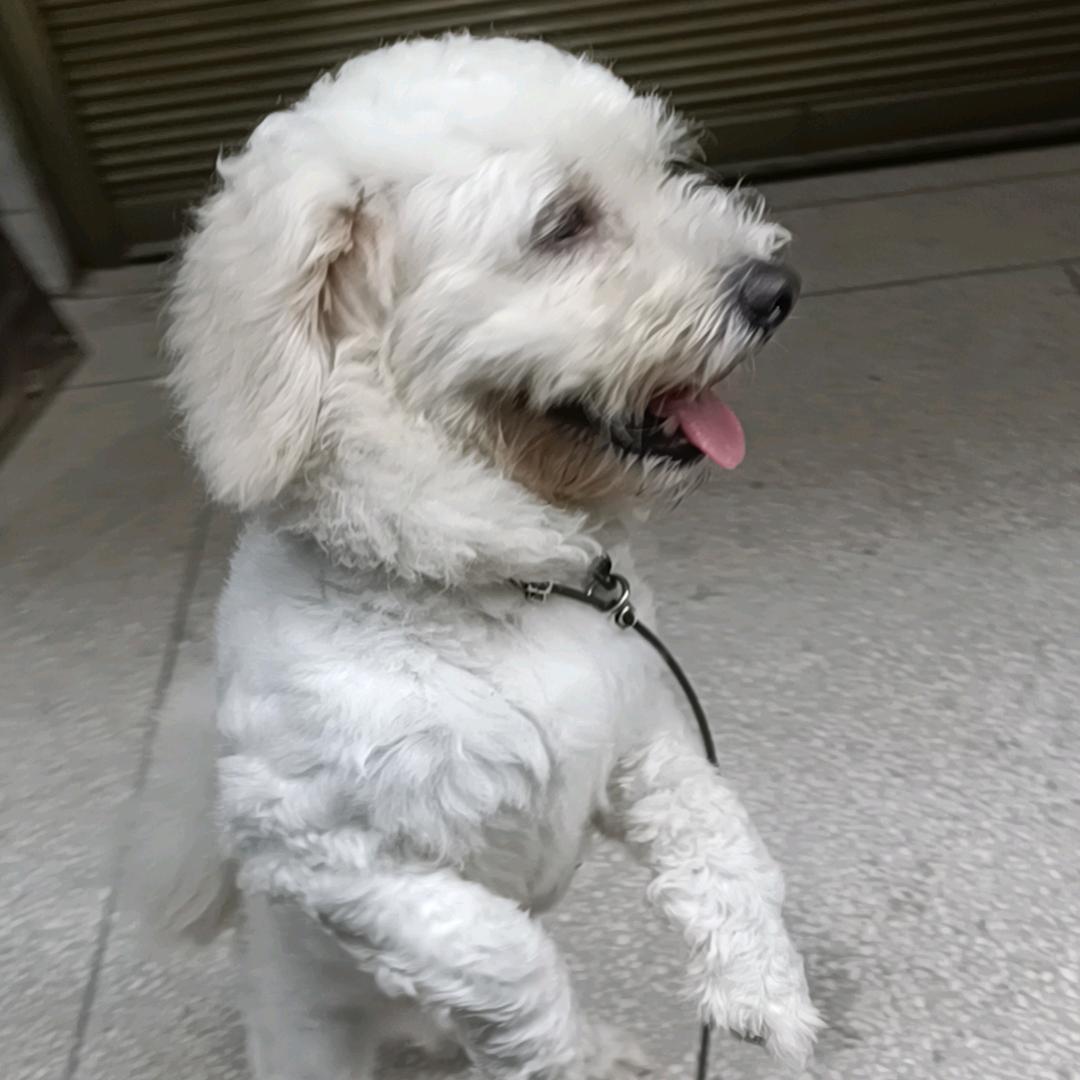 蓝天轩杰商贸