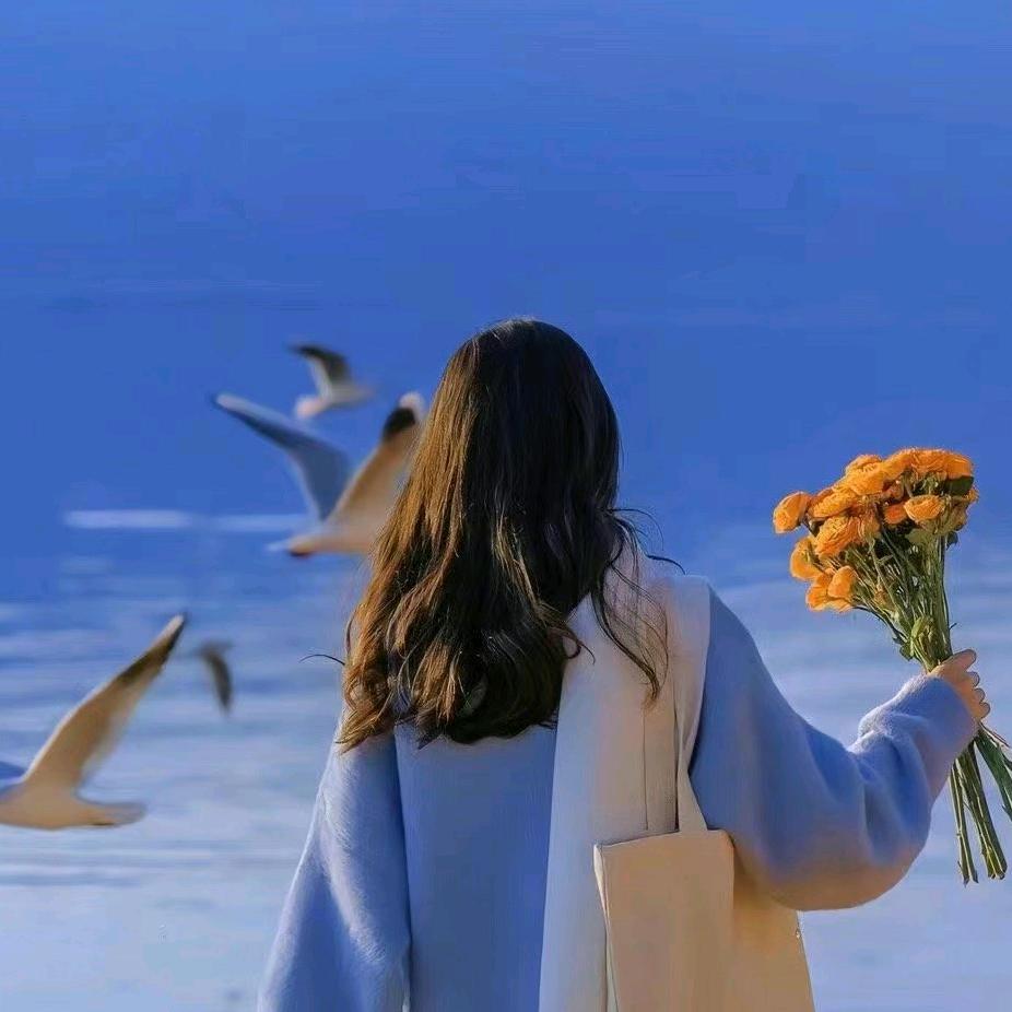 山商刘亦菲
