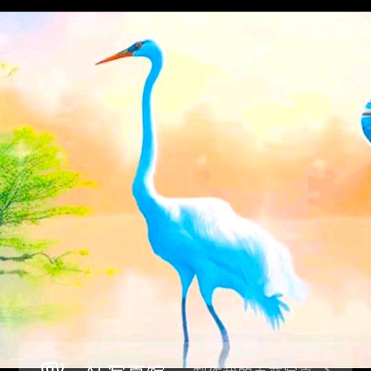 💞不在ღ᭄其钟💞