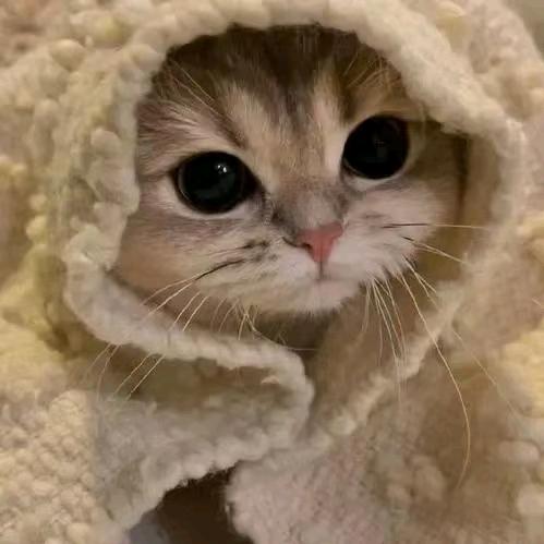 颜夕.💦