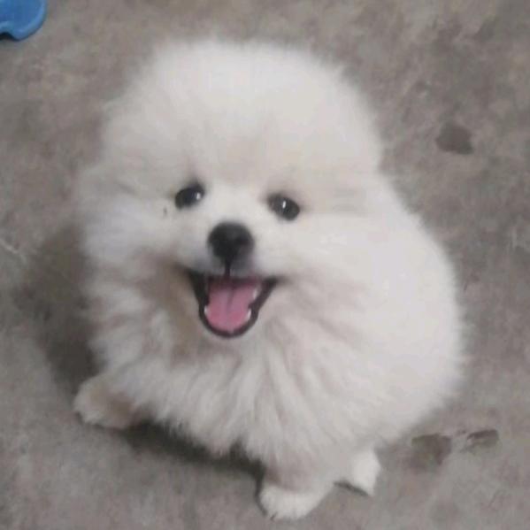 小姨子