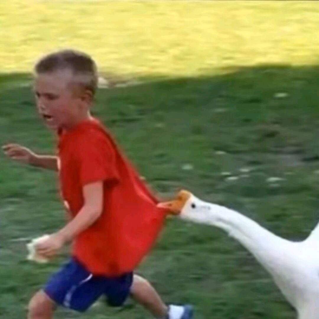 违规昵称fgebhxyhdhj