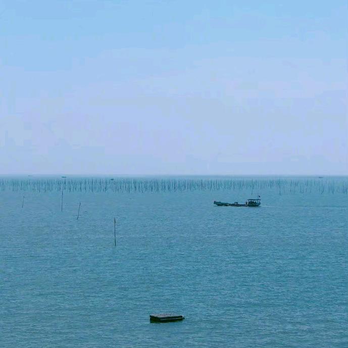 ʚ杨杨杨ɞ